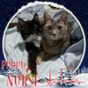 nancynurse3
